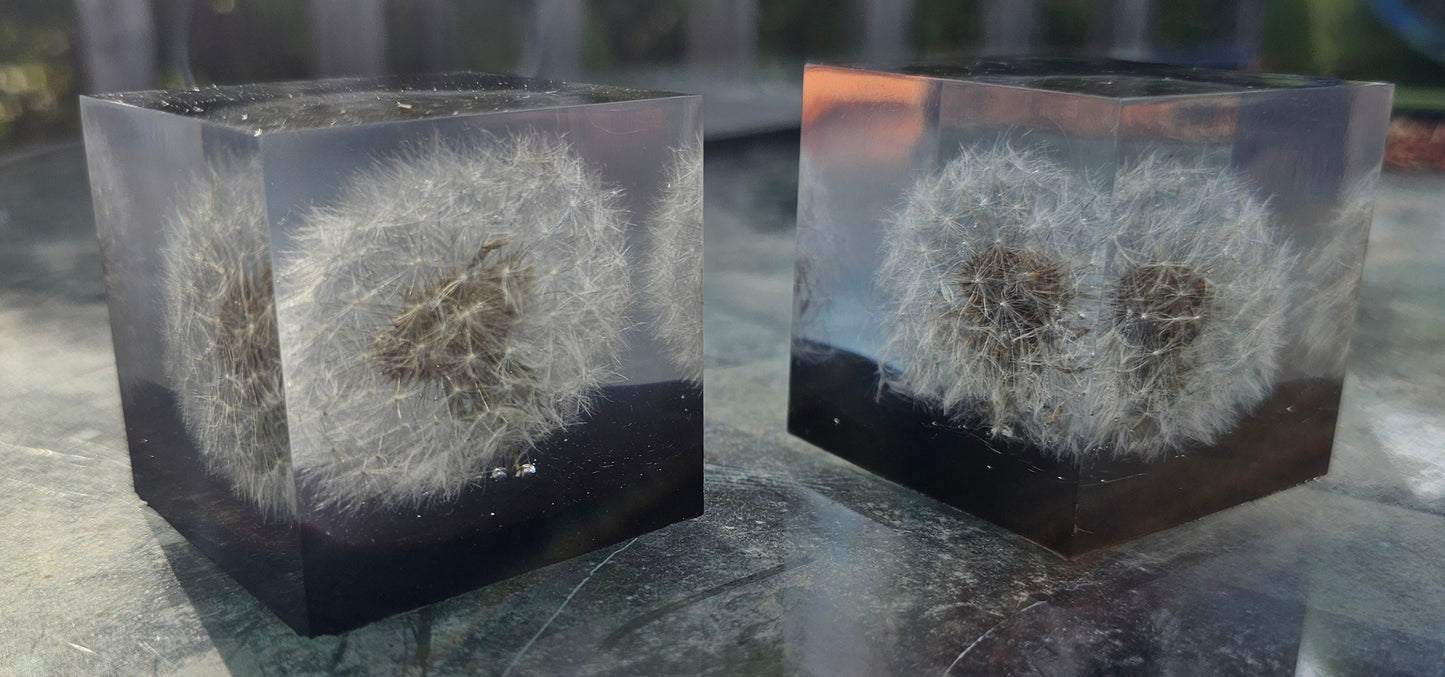 Capturing a Wish