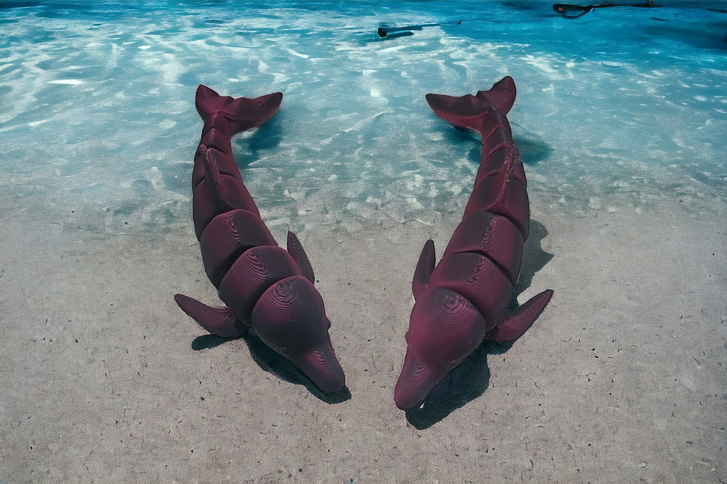 Dolphin Fidget Toy