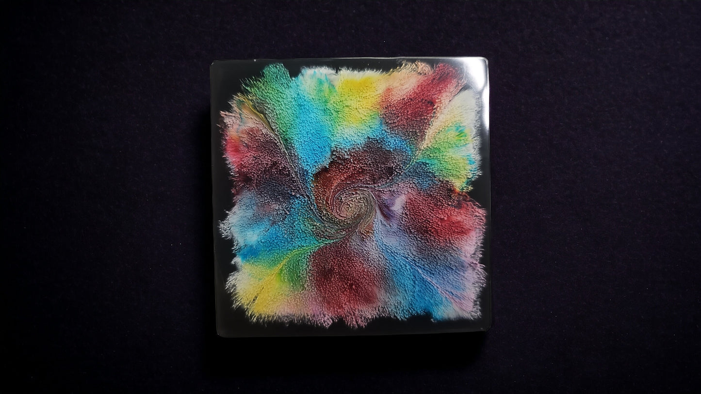 Petri Cell Bloom Coasters Set