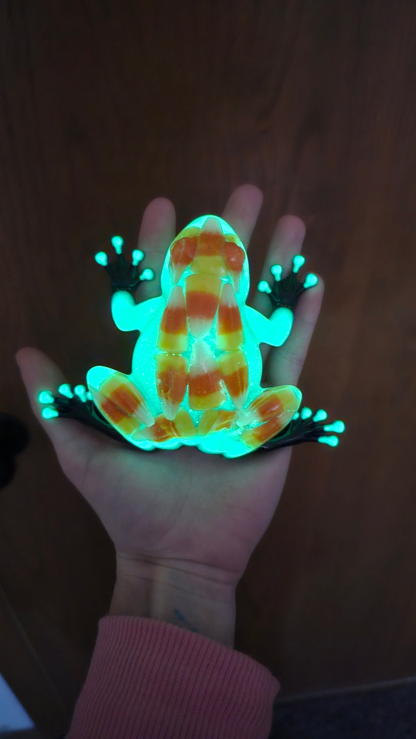 Mother Of Pearl Frog Jar Decor Collection