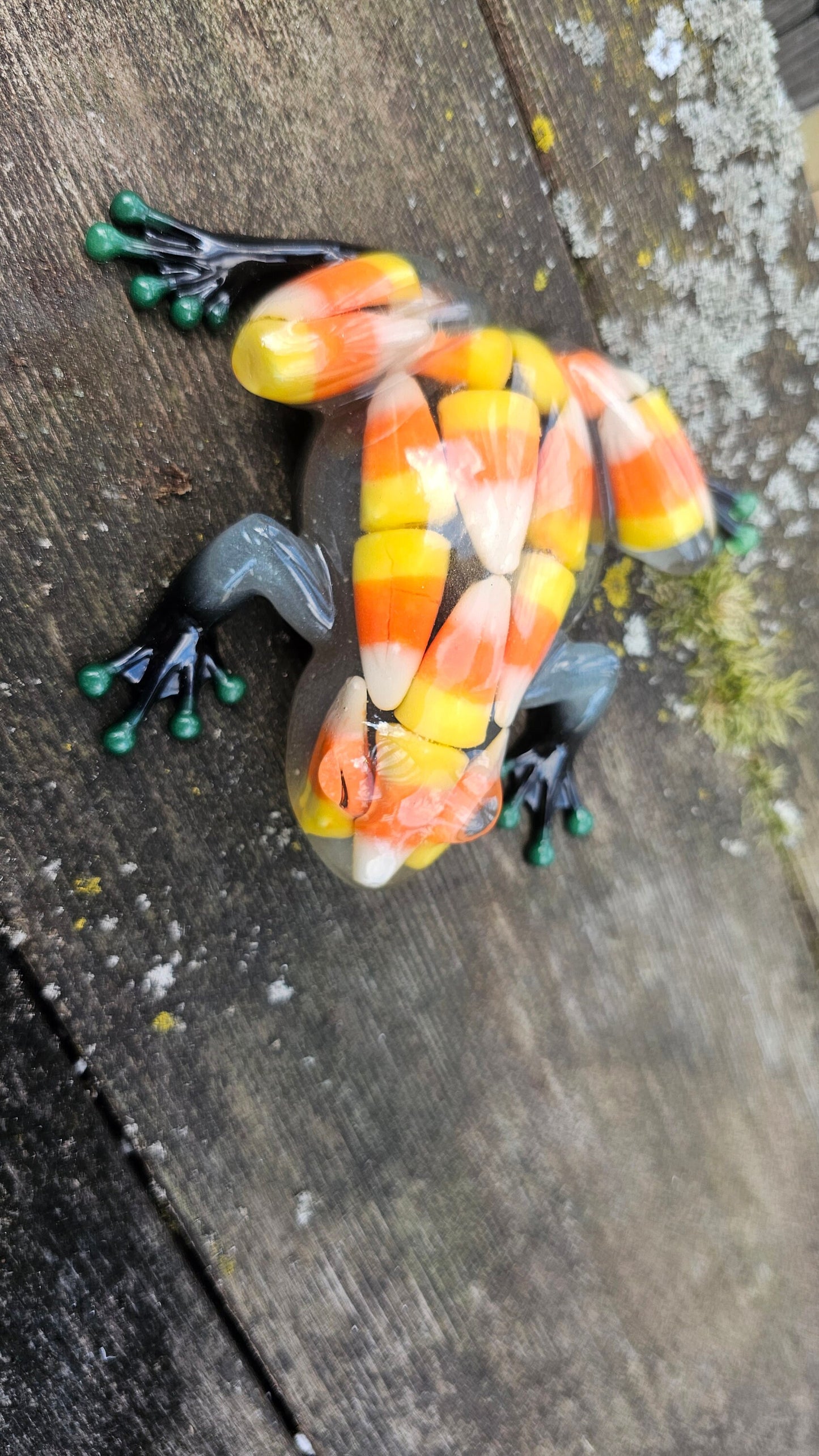 Mother Of Pearl Frog Jar Decor Collection