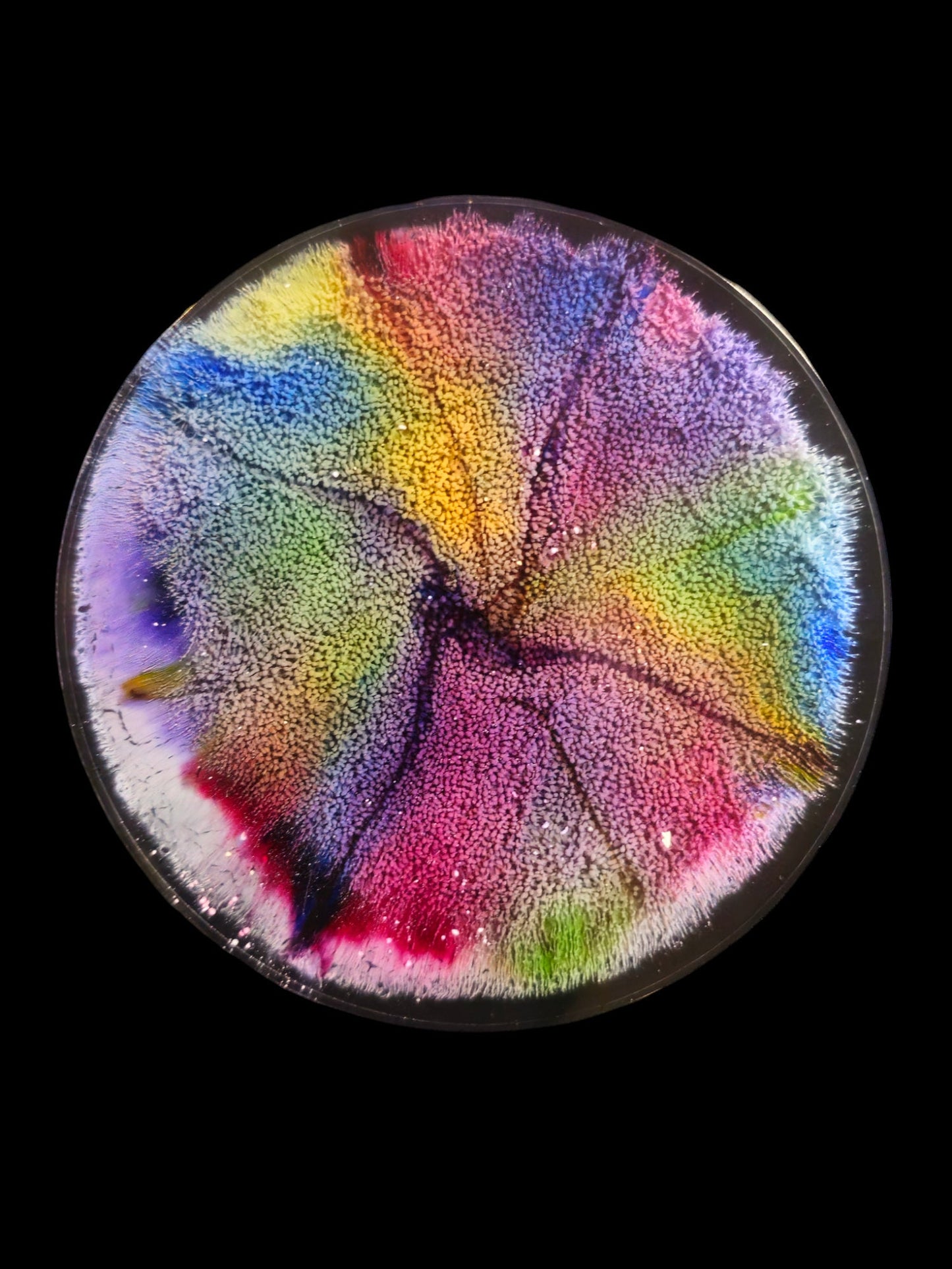 Petri Cell Bloom Coasters Set