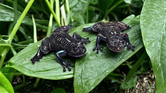 Snake Shed Resin Frog Decor