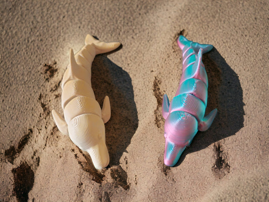 Dolphin Fidget Toy