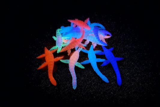 Mystery GLOW Nessie Articulated Plesiosaurus Fidget Toy