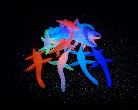 Mystery GLOW Nessie Articulated Plesiosaurus Fidget Toy